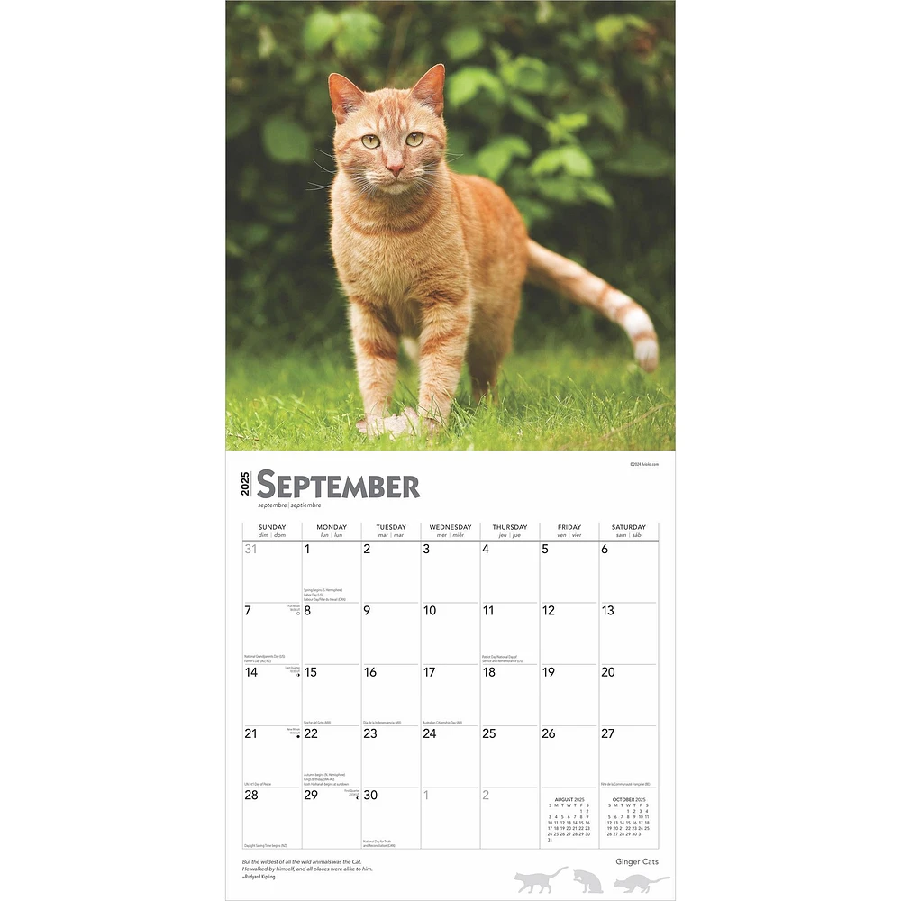 Ginger Cats Wall 2025 Calendar