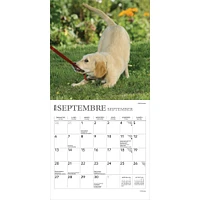 Chiots 2026 Mini Calendar (French)