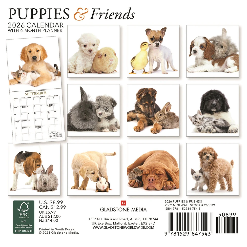 Puppies And Friends Mini  2026 Calendar