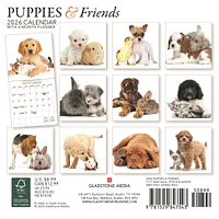 Puppies And Friends Mini  2026 Calendar