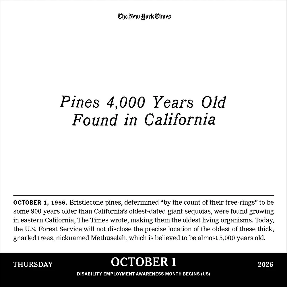 The New York Times Headlines In History 2026 Box Calendar - Online Exclusive