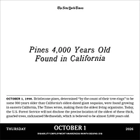The New York Times Headlines In History 2026 Box Calendar - Online Exclusive