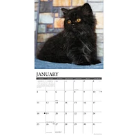 Just Black Kittens 2026 Wall Calendar - Online Exclusive