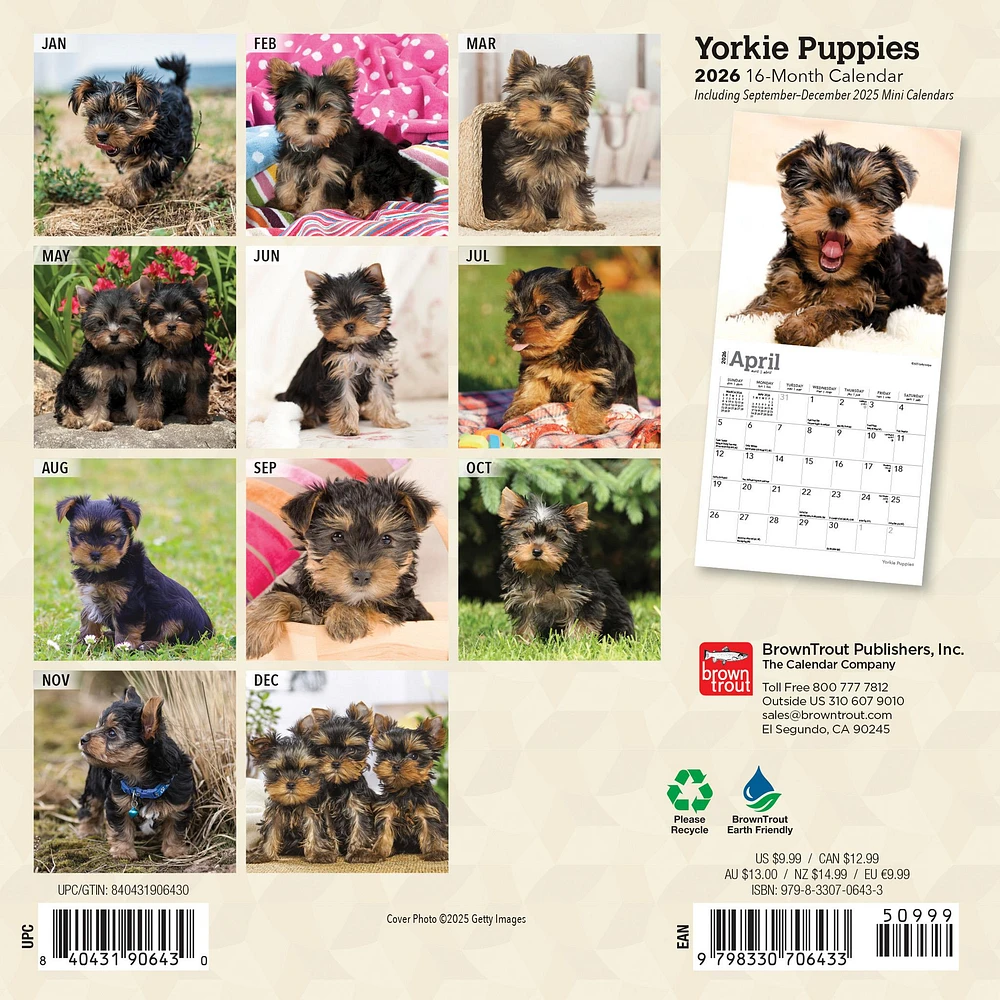 Yorkshire Terrier Puppies 2026 Mini Calendar