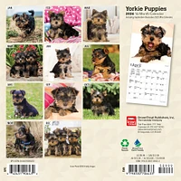 Yorkshire Terrier Puppies 2026 Mini Calendar