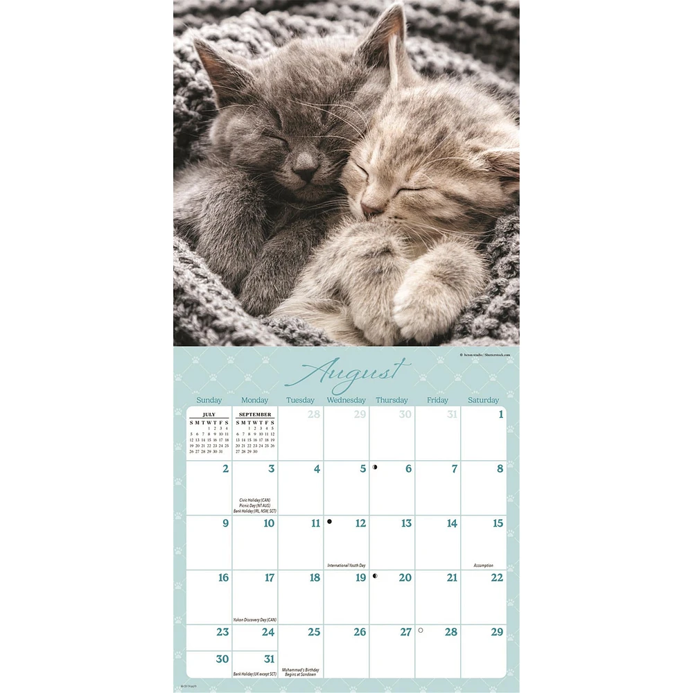 Naptime 2026 Mini Calendar