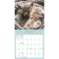 Naptime 2026 Mini Calendar