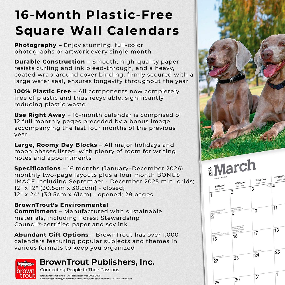 Weimaraners 2026 Wall Calendar