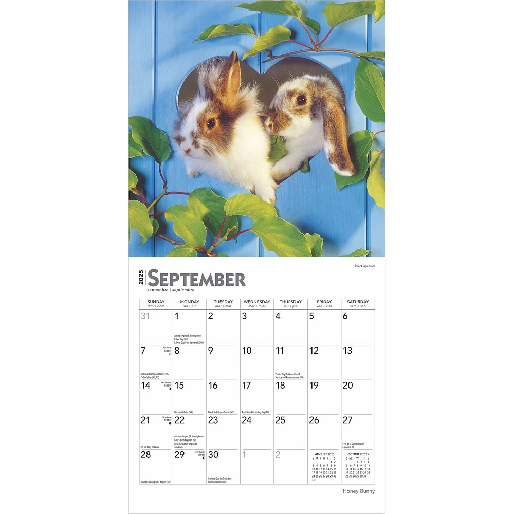 Honey Bunny Mini 2025 Calendar