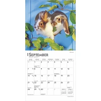 Honey Bunny Mini 2025 Calendar