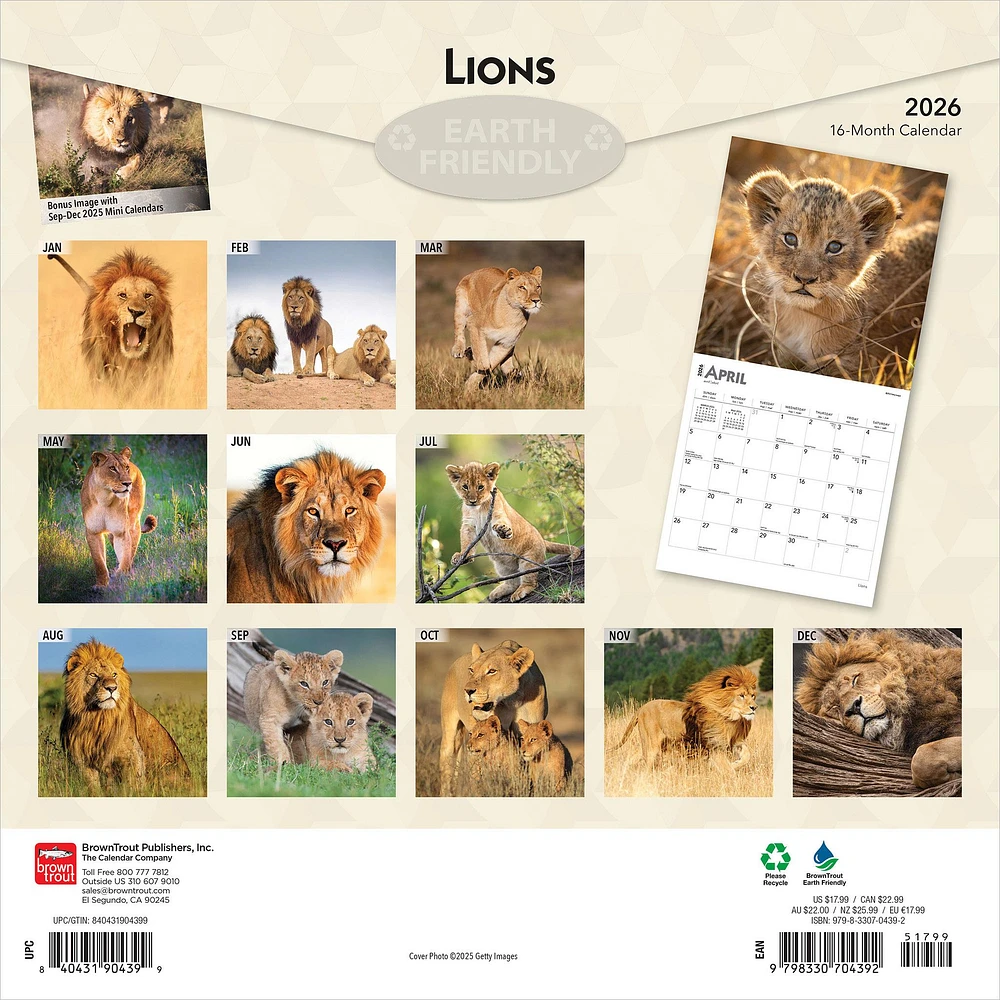 Lions 2026 Wall Calendar - Online Exclusive