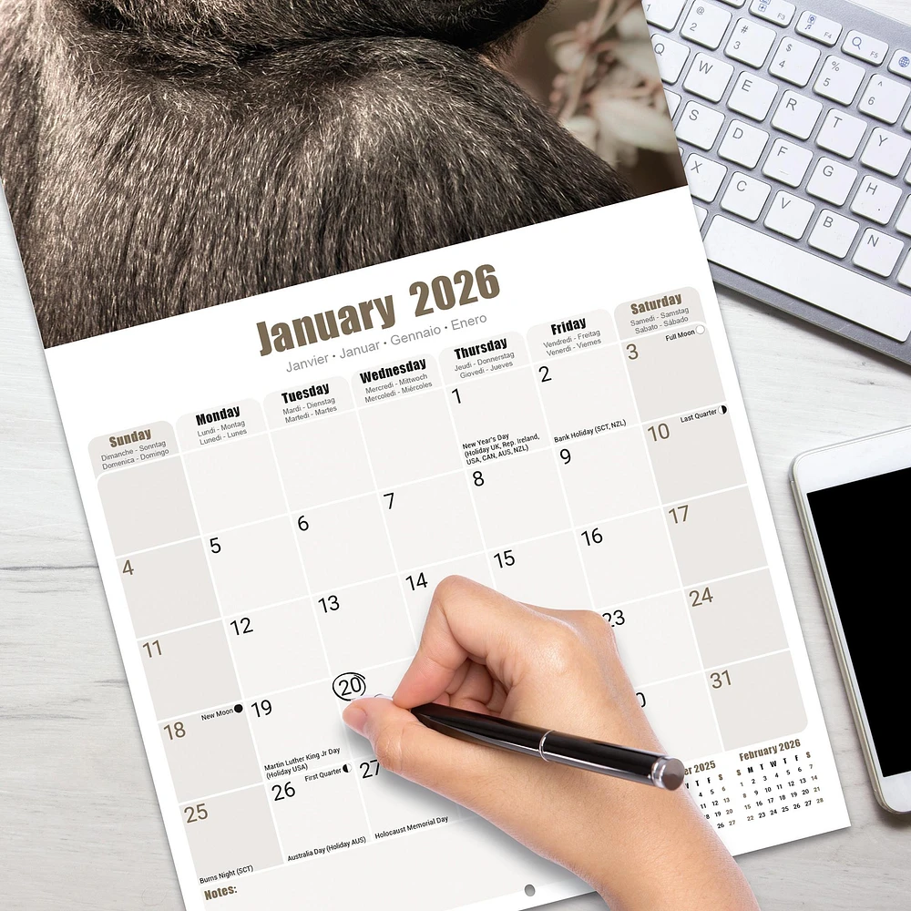 Apes 2026 Wall Calendar - Online Exclusive