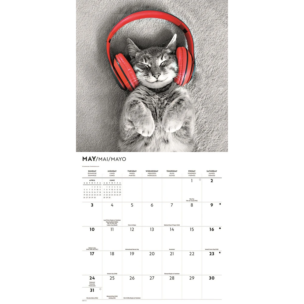 Classic Cats 2026 Wall Calendar
