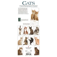 Cats 2026 Poster Calendar