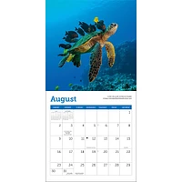 Sea Turtles 2026 MiniCalendar