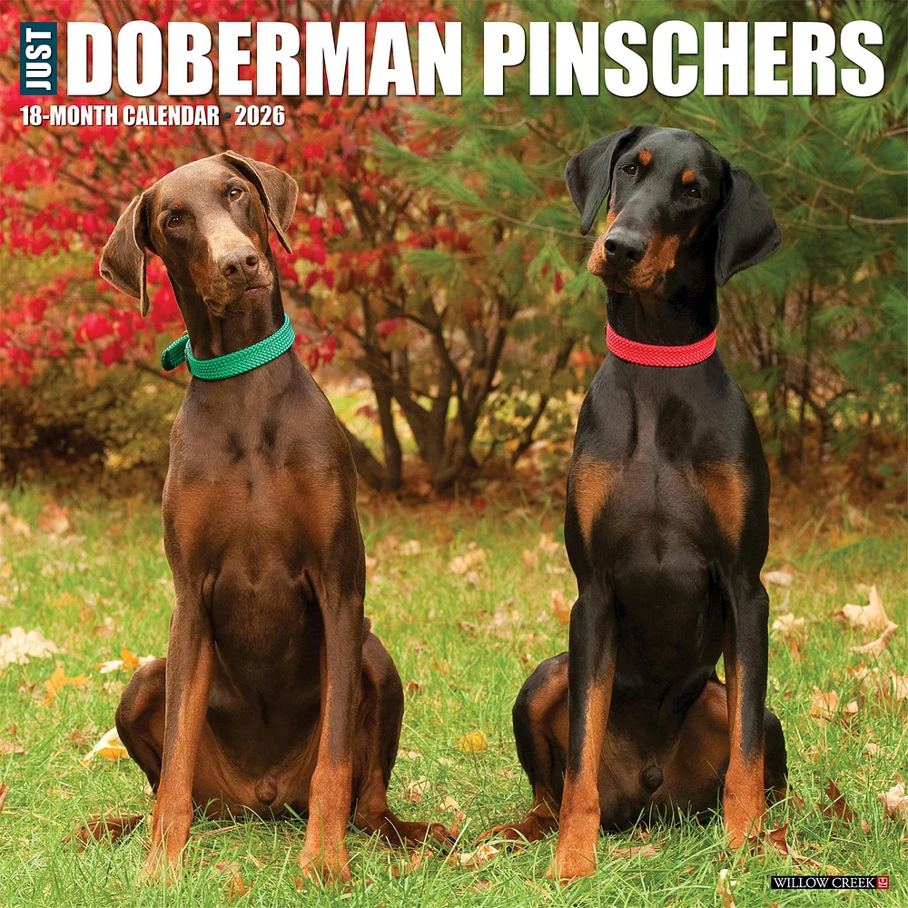 Just Doberman Pinschers 2026 Wall Calendar - Online Exclusive