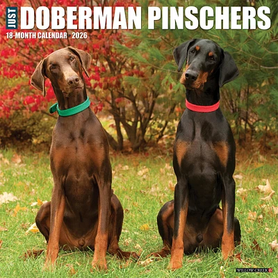 Just Doberman Pinschers 2026 Wall Calendar - Online Exclusive