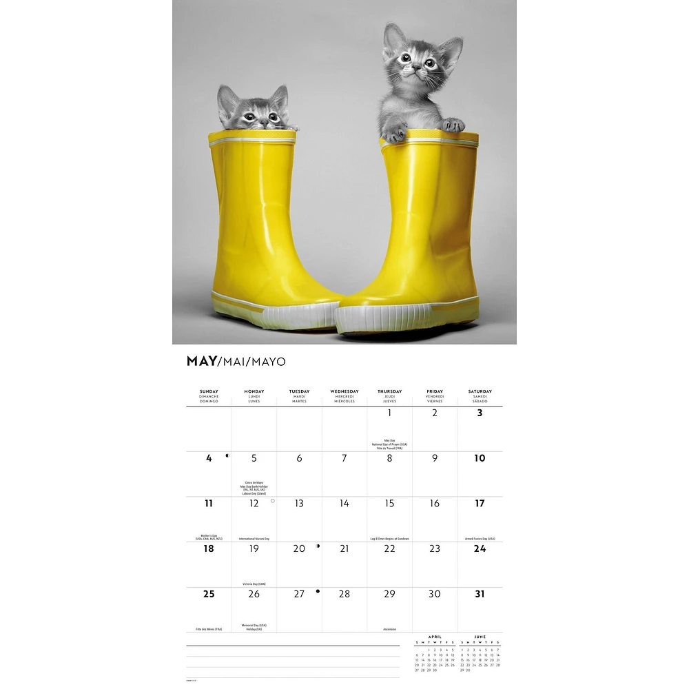 Classic Cats Wall 2025 Calendar