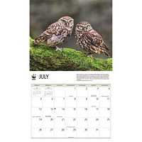 World Wildlife Fund Owls 2026 Wall Calendar