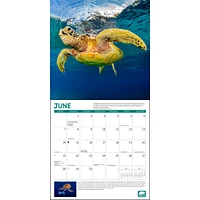 Project Green 2026 Wall Calendar