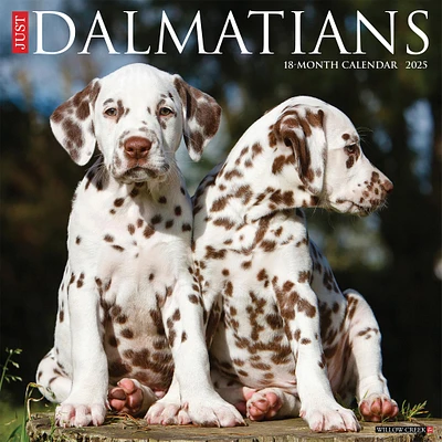 Just Dalmatians Wall 2025 Calendar