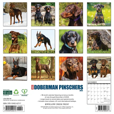 Just Doberman Pinschers Wall 2025 Calendar - Online Exclusive