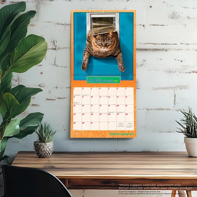 Chatons Grognons 2026 Wall Calendar (French)
