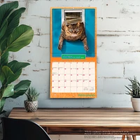 Chatons Grognons 2026 Wall Calendar (French)