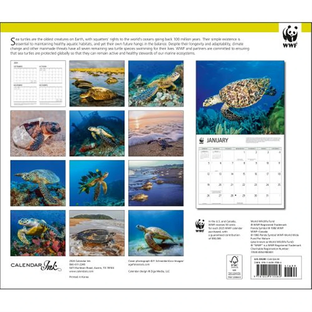 Sea Turtles World Wildlife Fund Wall 2025 Calendar