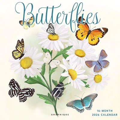 Butterflies 2026 Wall Calendar - Online Exclusive