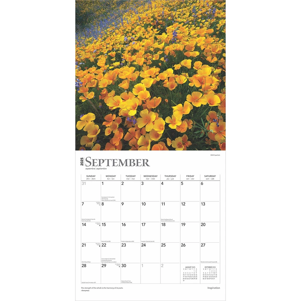 Inspiration Wall 2025 Calendar