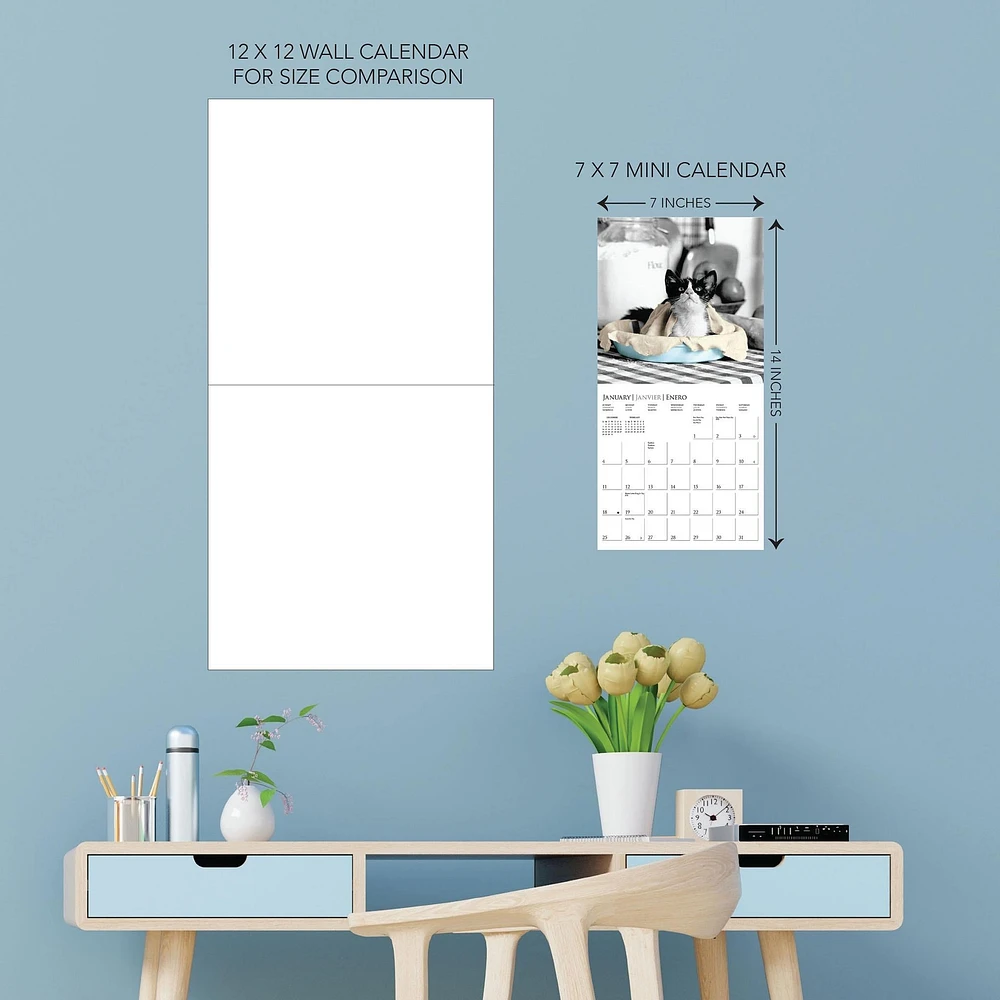 Classic Cats 2026 Mini Calendar