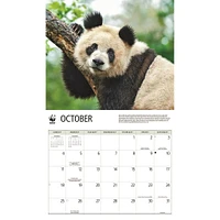 World Wildlife Fund Giant Pandas  2026 Wall Calendar