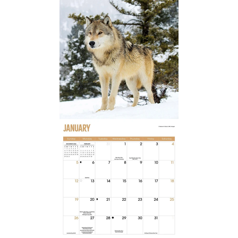 Wolves Wall 2025 Calendar