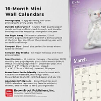 Yoga Kittens Mini 2025 Calendar