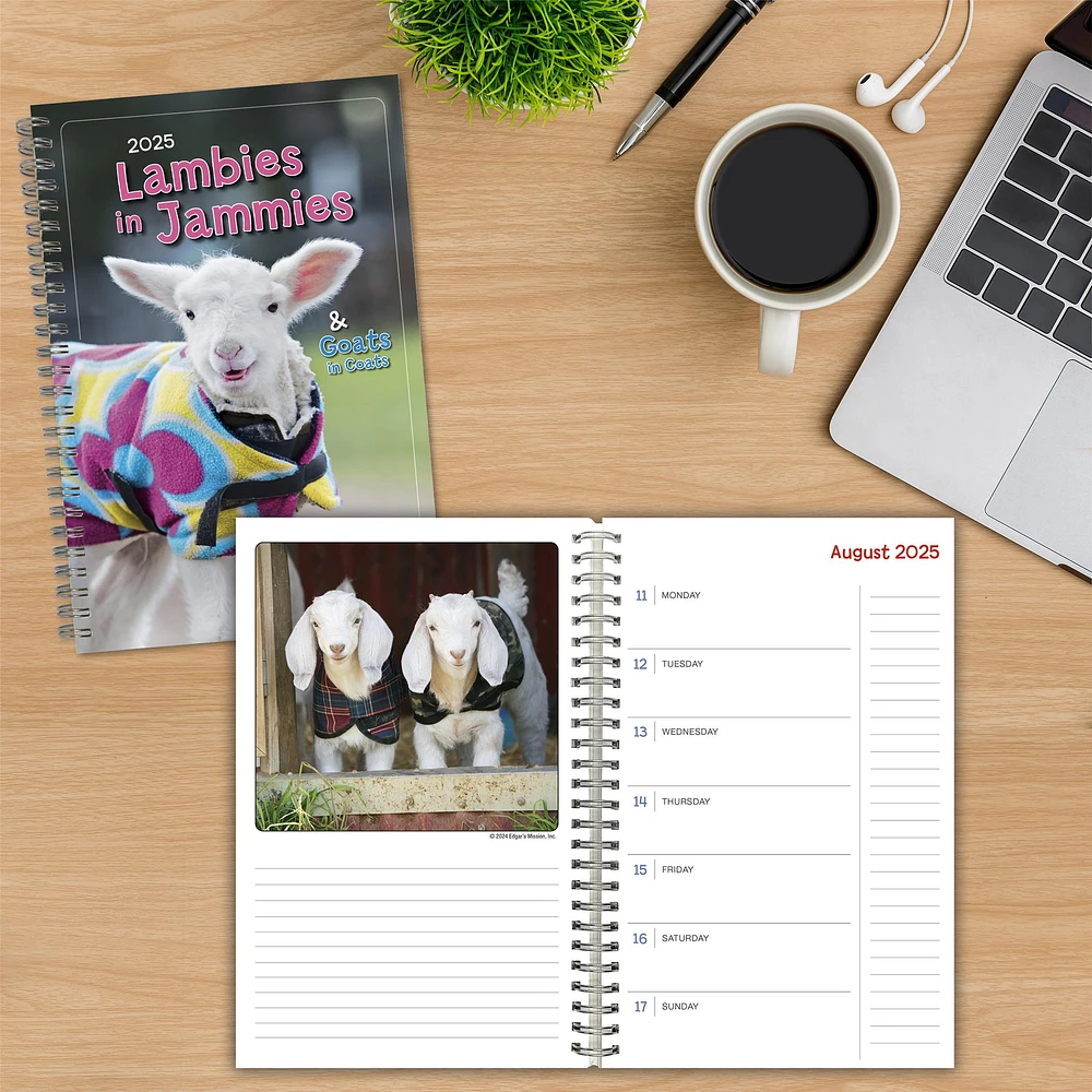 Lambies In Jammies And Goats In Coats Engagement 2025 Calendar - Online Exclusive