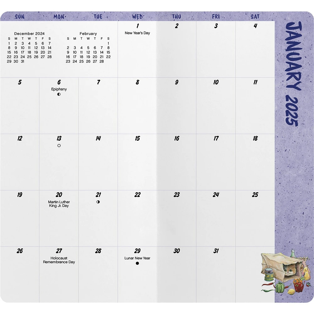 Cats Gary Patterson 2 Yr Pocket Planner 2025 Calendar