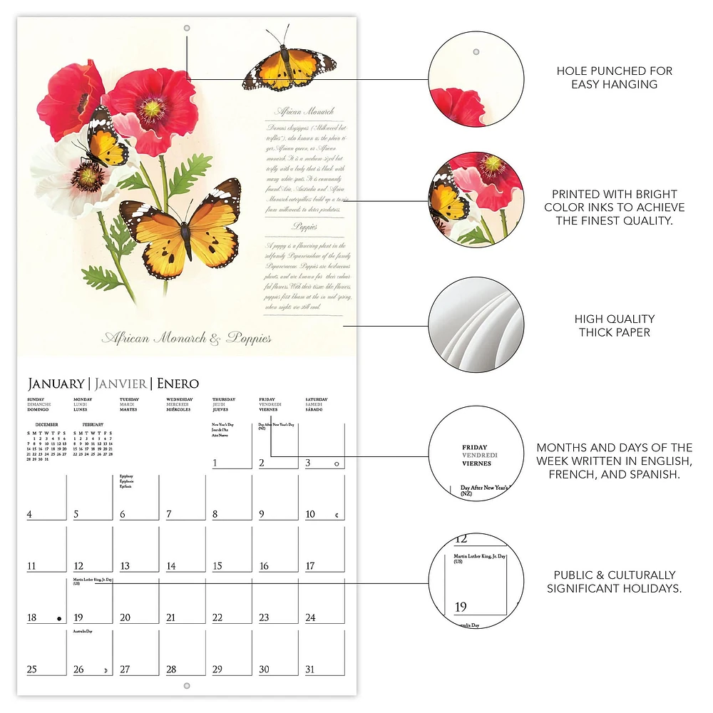 Butterflies 2026 Wall Calendar - Online Exclusive