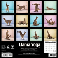 Llama Yoga Wall 2025 Calendar