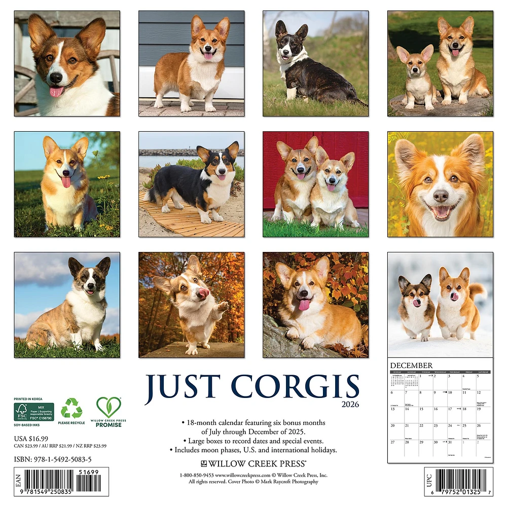 Just Corgis 2026 Wall Calendar
