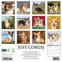 Just Corgis 2026 Wall Calendar