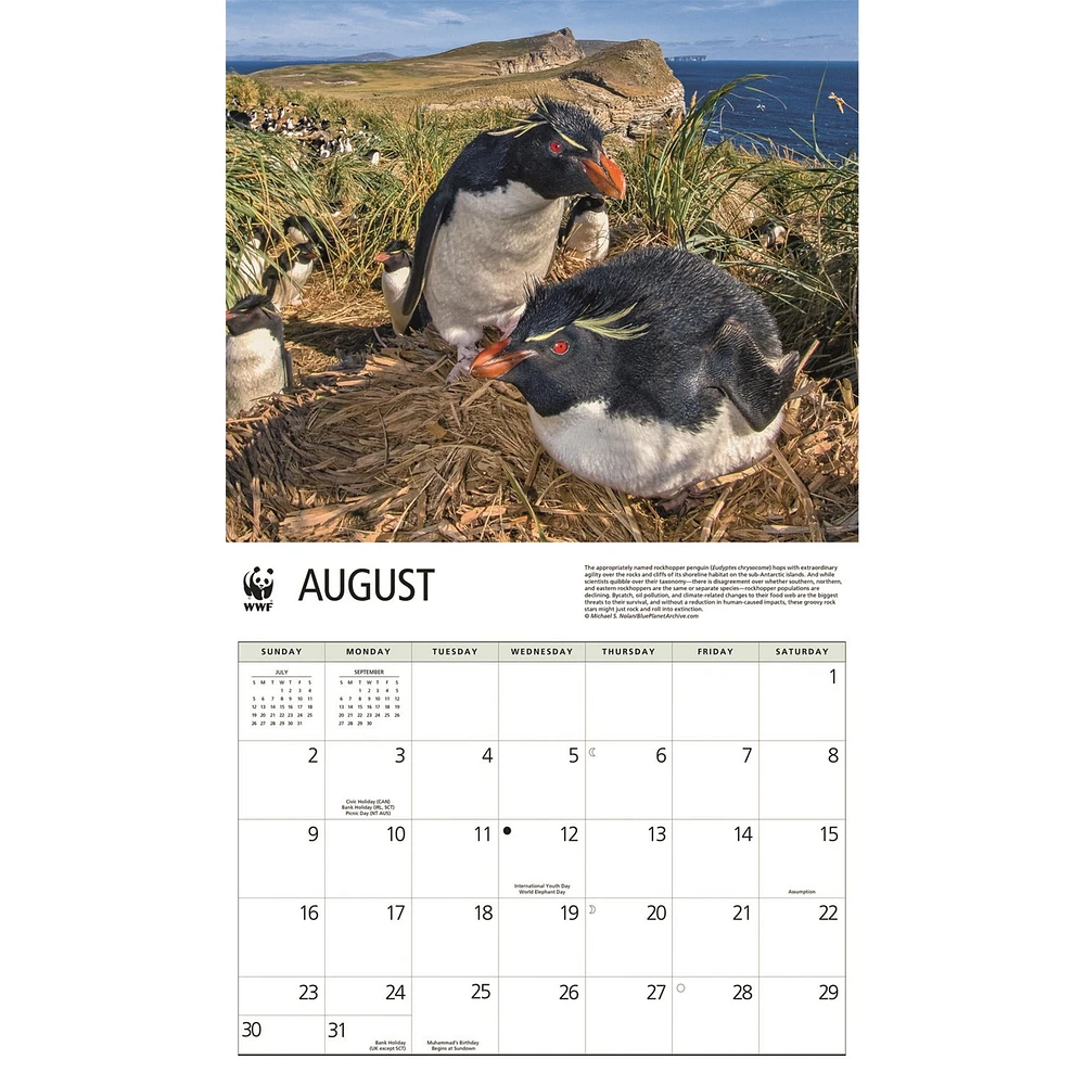 World Wildlife Fund Penguins 2026 Wall Calendar