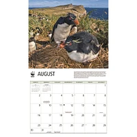 World Wildlife Fund Penguins 2026 Wall Calendar