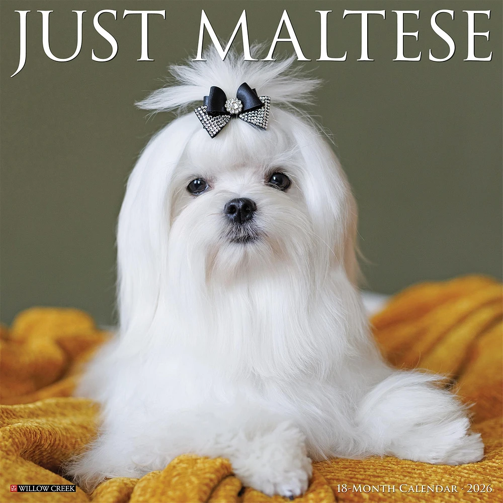 Just Maltese 2026 Wall Calendar - Online Exclusive