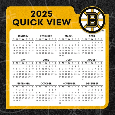 NHL Boston Bruins Box 2025 Calendar