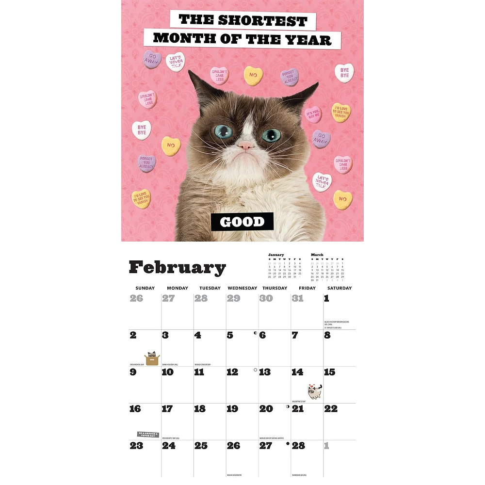 Grumpy Cat Wall 2025 Calendar