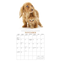Puppies And Friends Wall  2026 Calendar