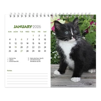 Kittens 2026 Double View Easel Calendar