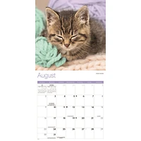 Kitty Naps 2026 Wall Calendar
