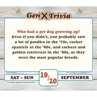 Daily Gen X 2026 Box Calendar - Online Exclusive